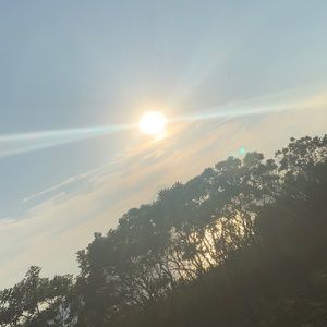 Meet your Posher, Berry